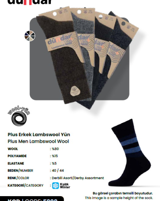5909 ERKEK LAMBSWOOL YÜN ÇORAP