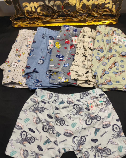 ERKEK ÇOCUK DESENLİ BOXER