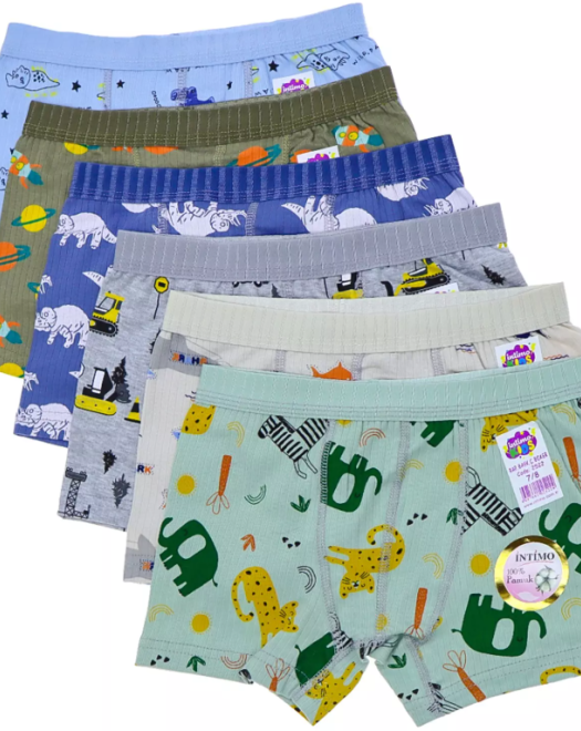 2522 RAPORLU BASKILI ERKEK ÇOCUK BOXER