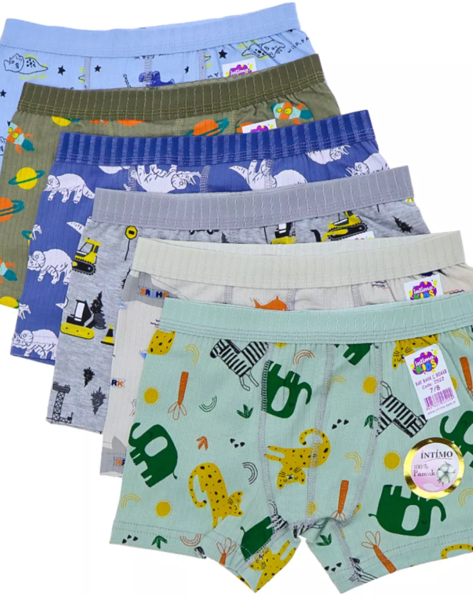 2522 RAPORLU BASKILI ERKEK ÇOCUK BOXER