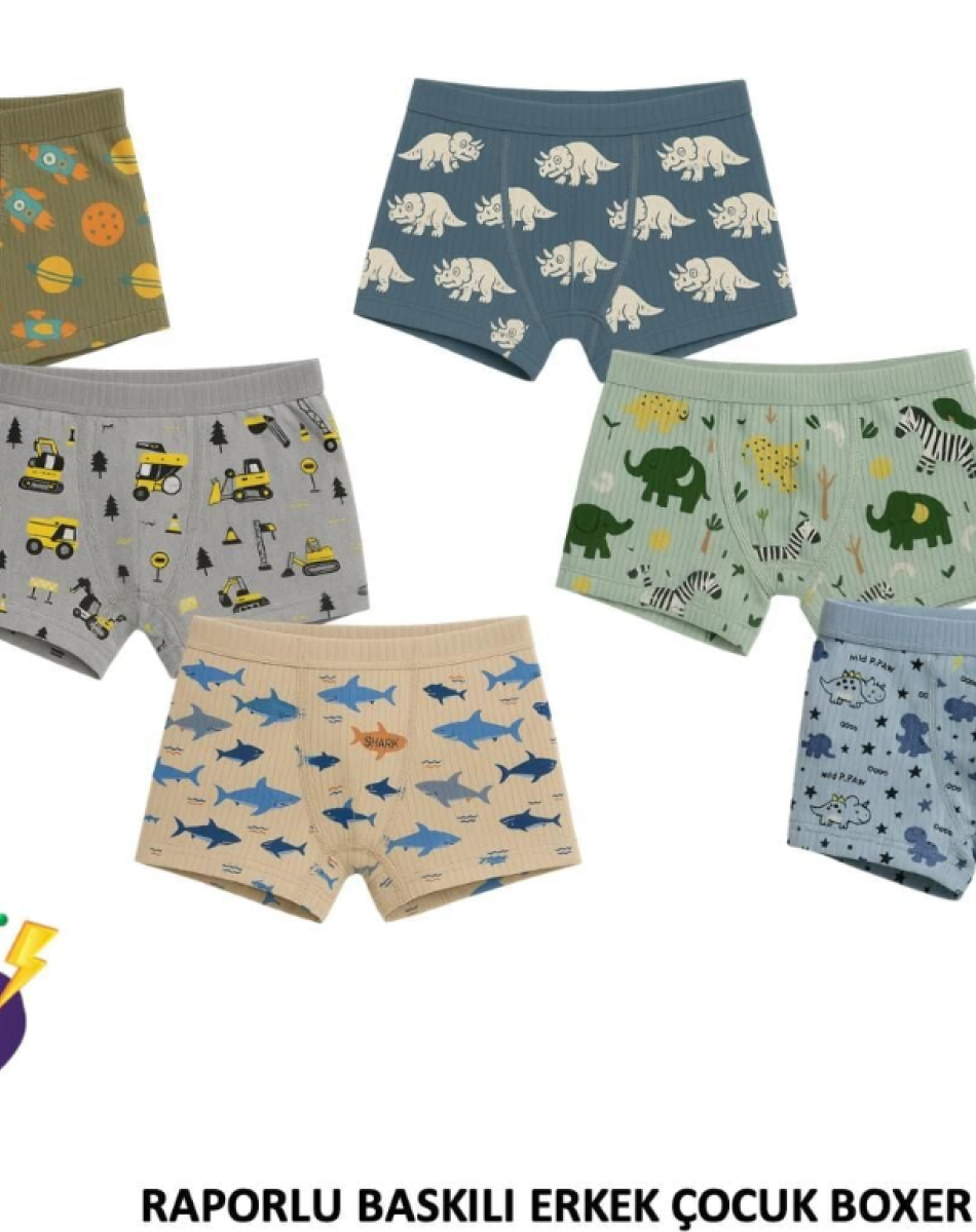 2522 RAPORLU BASKILI ERKEK ÇOCUK BOXER