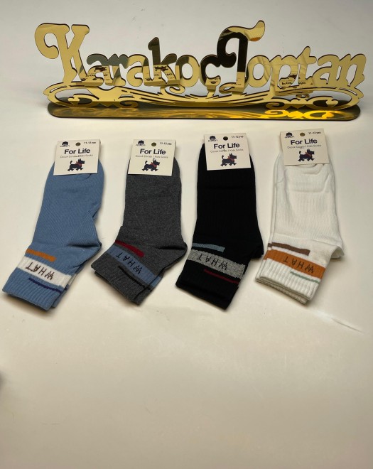 ERKEK ÇOCUK KARİKATÜRLÜ KOLEJ ÇORAP