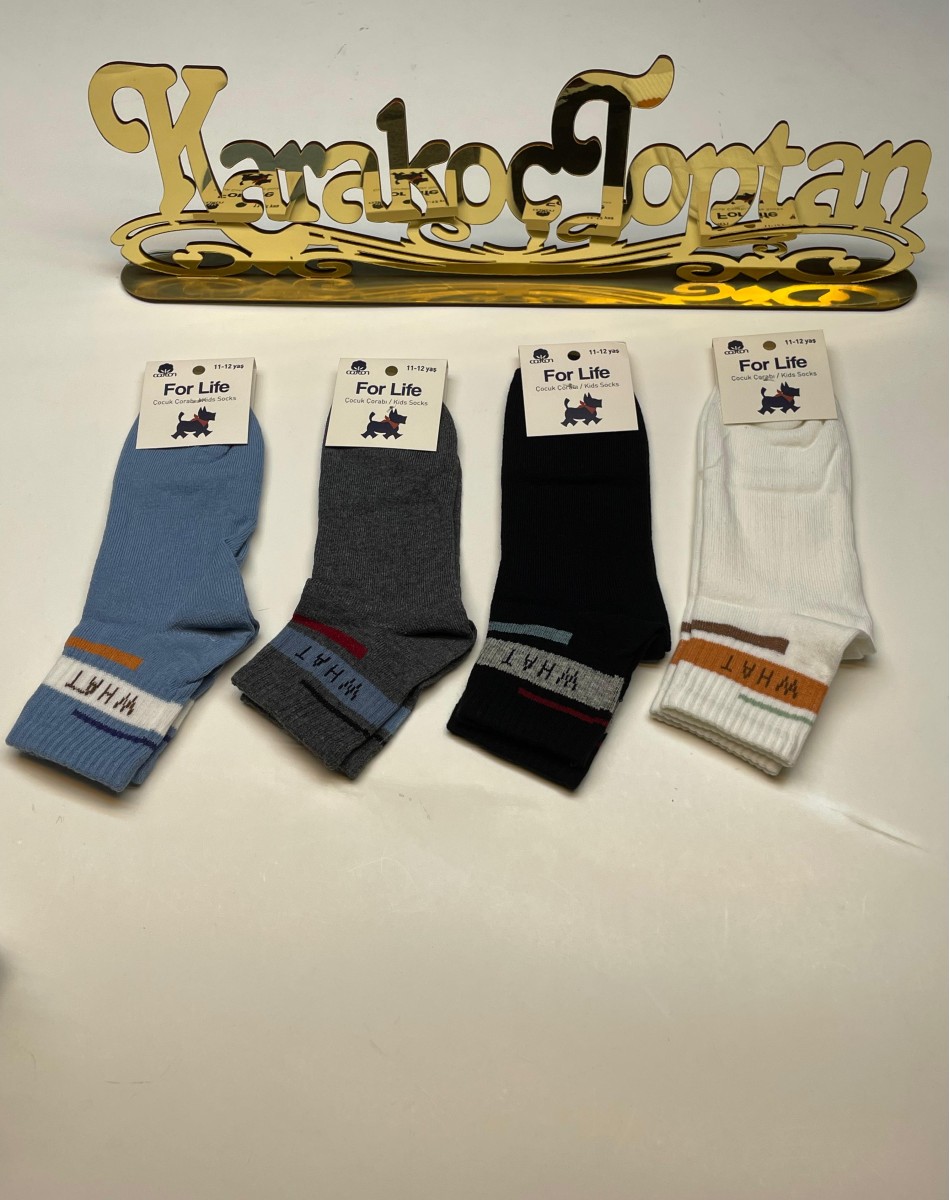 ERKEK ÇOCUK KARİKATÜRLÜ KOLEJ ÇORAP