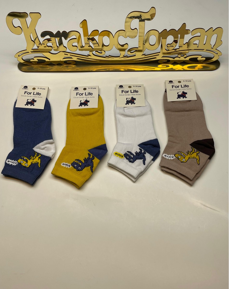 ERKEK ÇOCUK KARİKATÜRLÜ KOLEJ ÇORAP