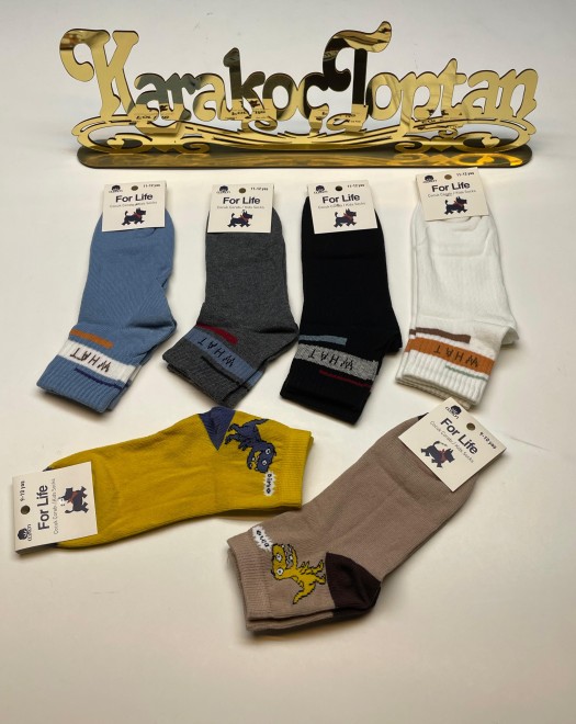 ERKEK ÇOCUK KARİKATÜRLÜ KOLEJ ÇORAP