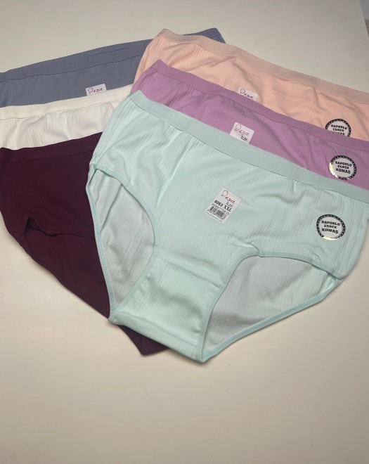 6063 XXL BEDEN RAPORLU ESNEK KUMAŞ KADIN KÜLOT