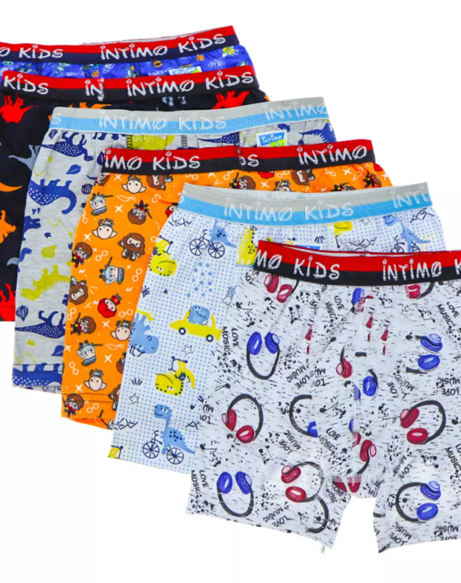 2523 ERKEK ÇOCUK DESENLİ BOXER