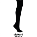 DİZÜSTÜ