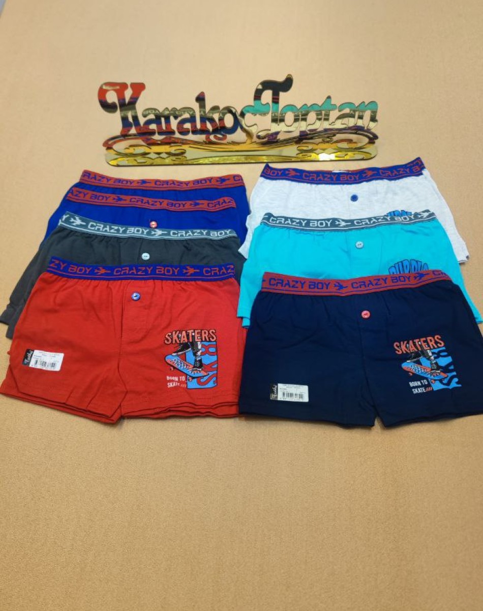 0253 ERKEK ÇOCUK DESENLİ BOXER ASORTİ