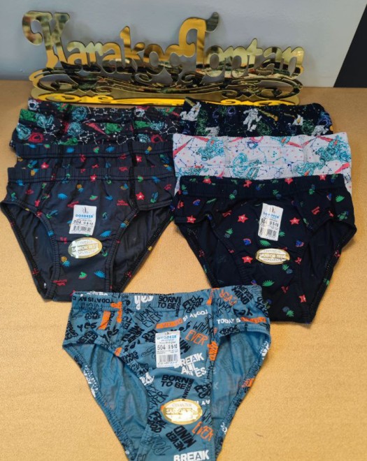 504 ERKEK ÇOCUK SLİP KÜLOT