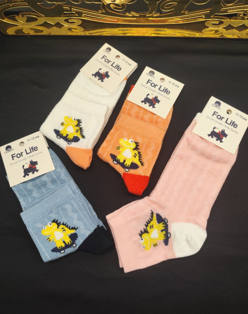 ERKEK ÇOCUK KARİKATÜRLÜ KOLEJ ÇORAP