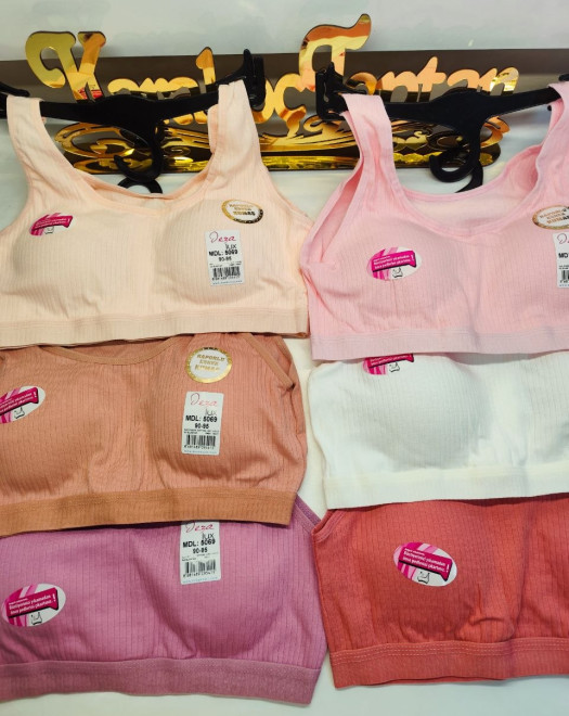 5069 KALIN ASKILI RAPORLU PEDLİ BÜSTİYER