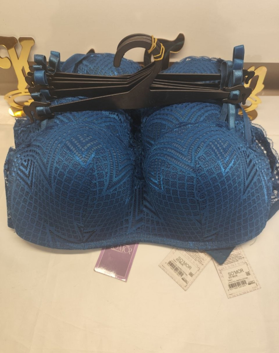 2501 LOTUS FULL DANTELLİ SÜTYEN