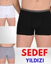 1013 LİKRALI ERKEK BOXER