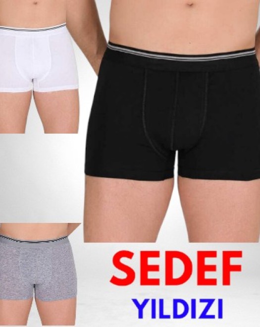 1013 LİKRALI ERKEK BOXER