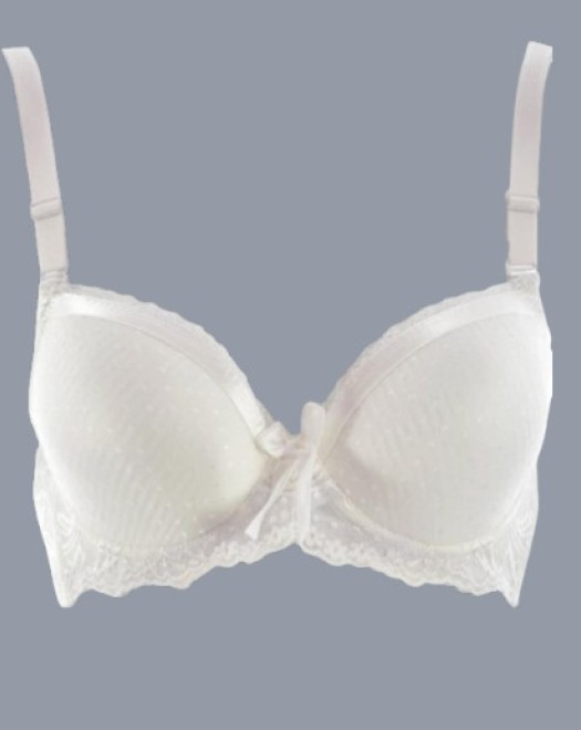 1955 DESTEKSİZ C KAP SÜTYEN