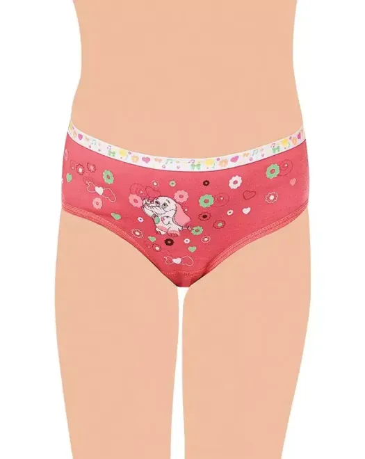 0832 KIZ ÖNÜ BASKILI BİKİNİ