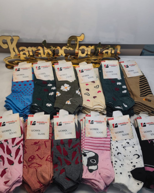 EKONOMİK KARIŞIK DESENLİ KADIN PATİK