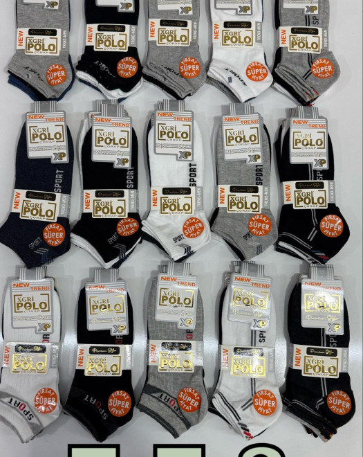 E-E-3 DESENLİ ERKEK PATİK